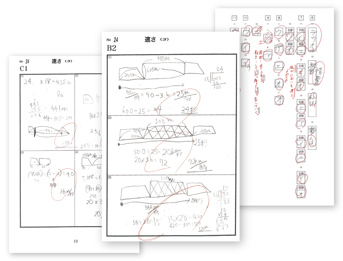 公開学力テスト