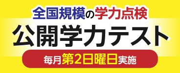 公開学力テスト